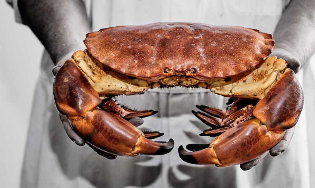 Crab