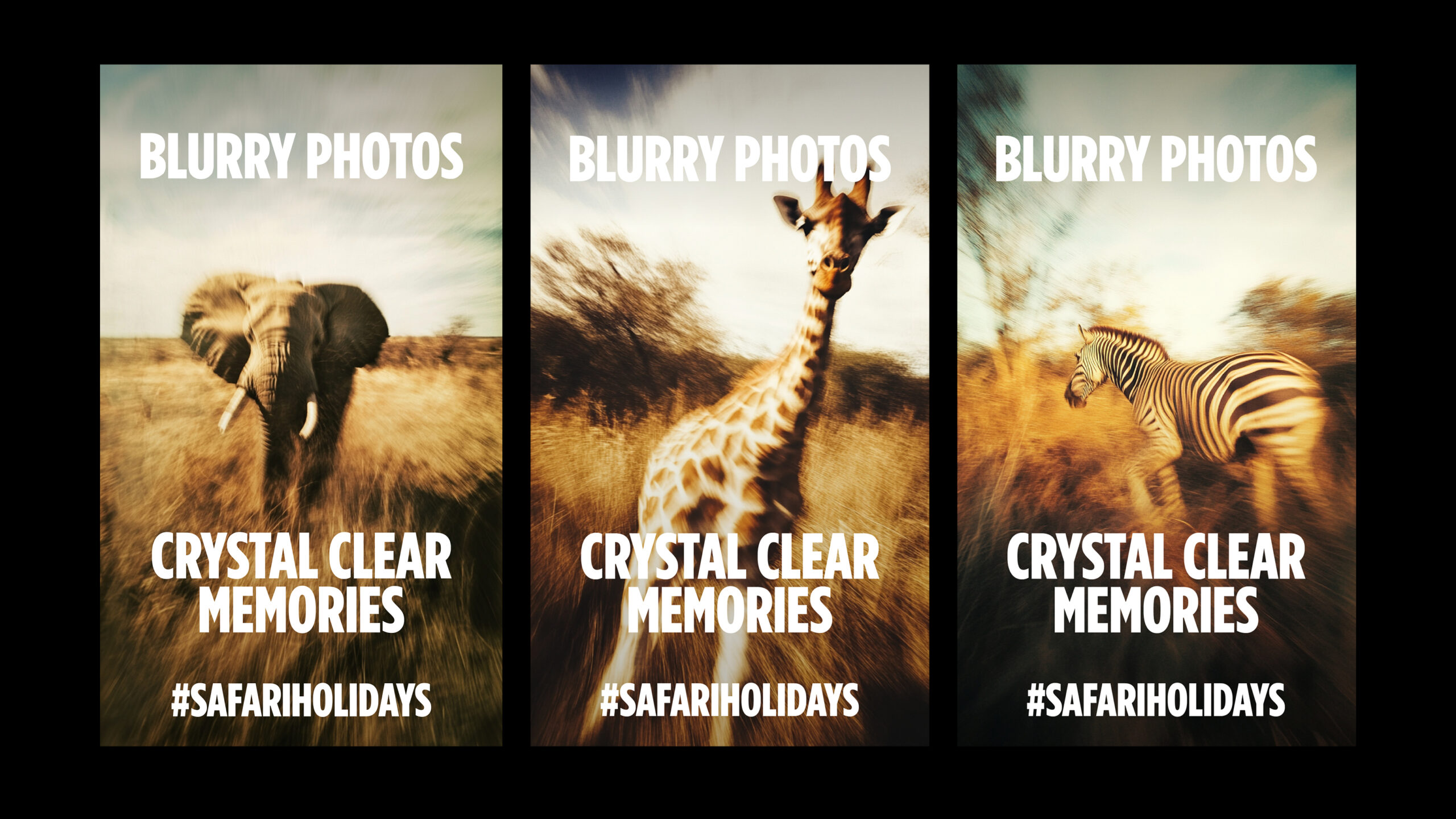 Safari