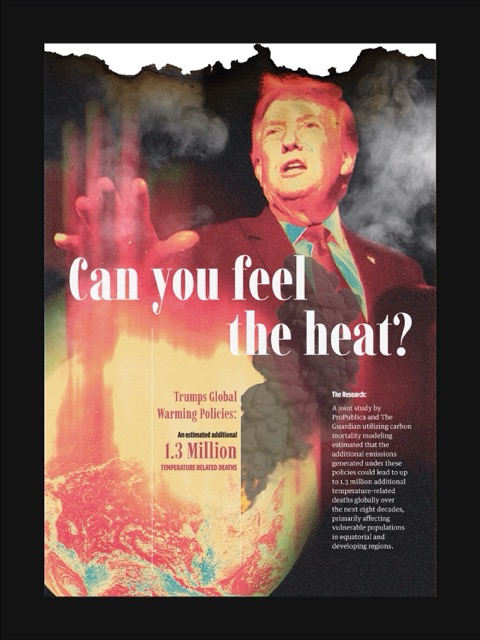 TrumpBurn_ Medium